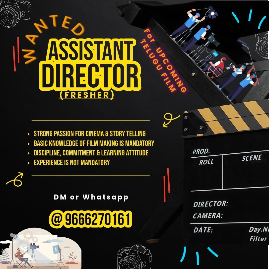 Looking for Assistant Director - Image 1