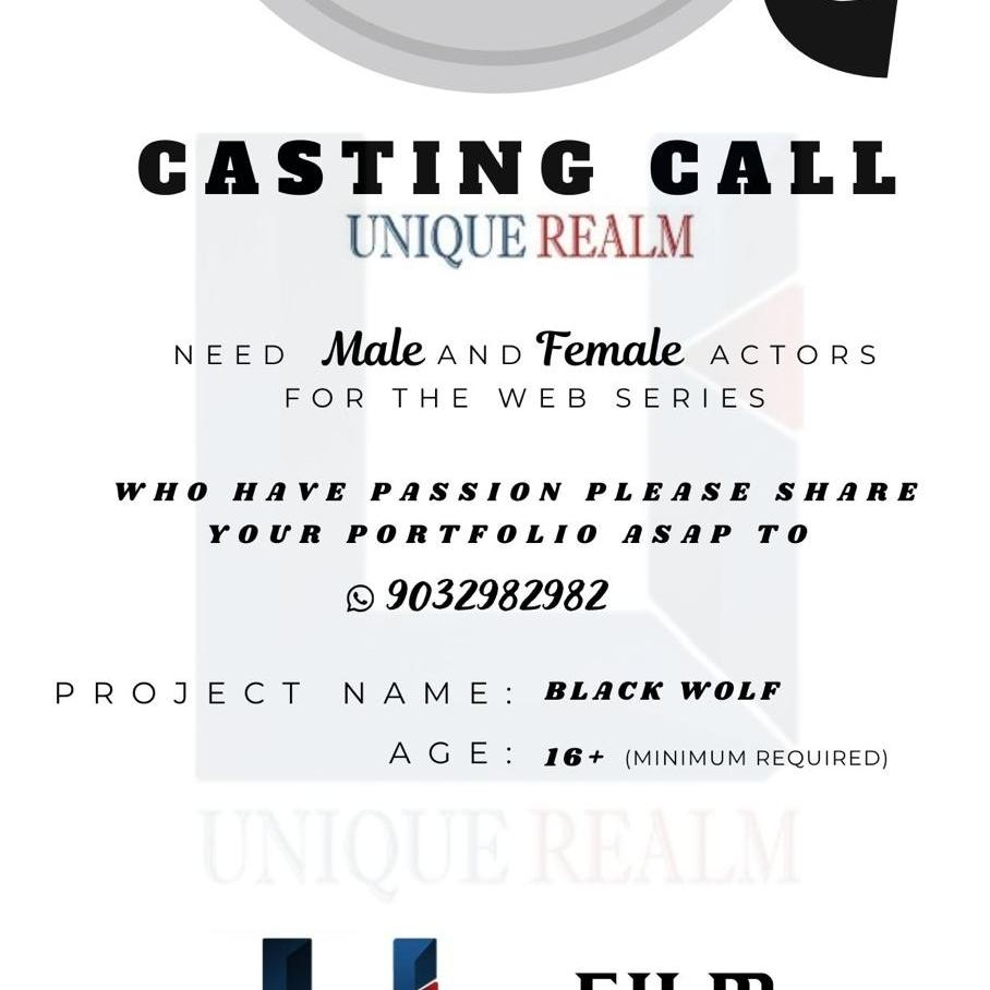 Blackwolf is the project name - Image 1